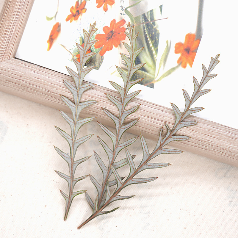Dried Flower Bookmark - Прессованные сухие листья папоротника и цветы