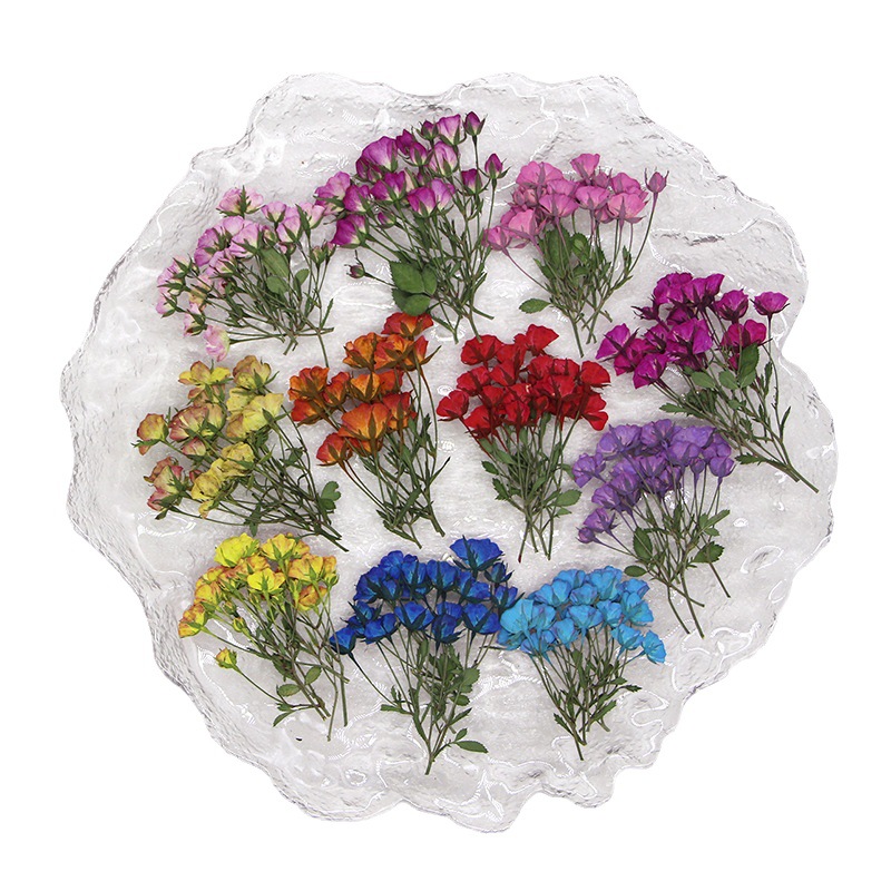 Dried Flower Bookmark - 36X прессованный высушенный, разноцветные цветные бутоны