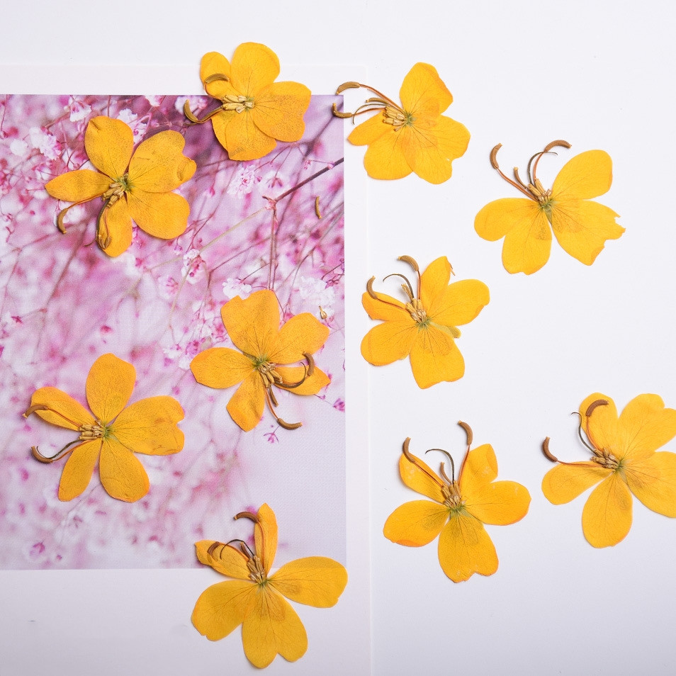 Dried Flower Bookmark - Желтая бабочка, цветок, искусственная для украшений,