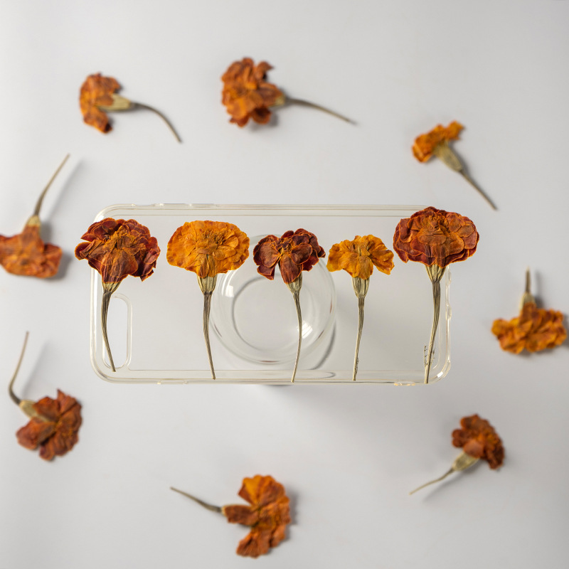 250 шт. прессованных сухих цве – обзор и цена Dried Flower Bookmark