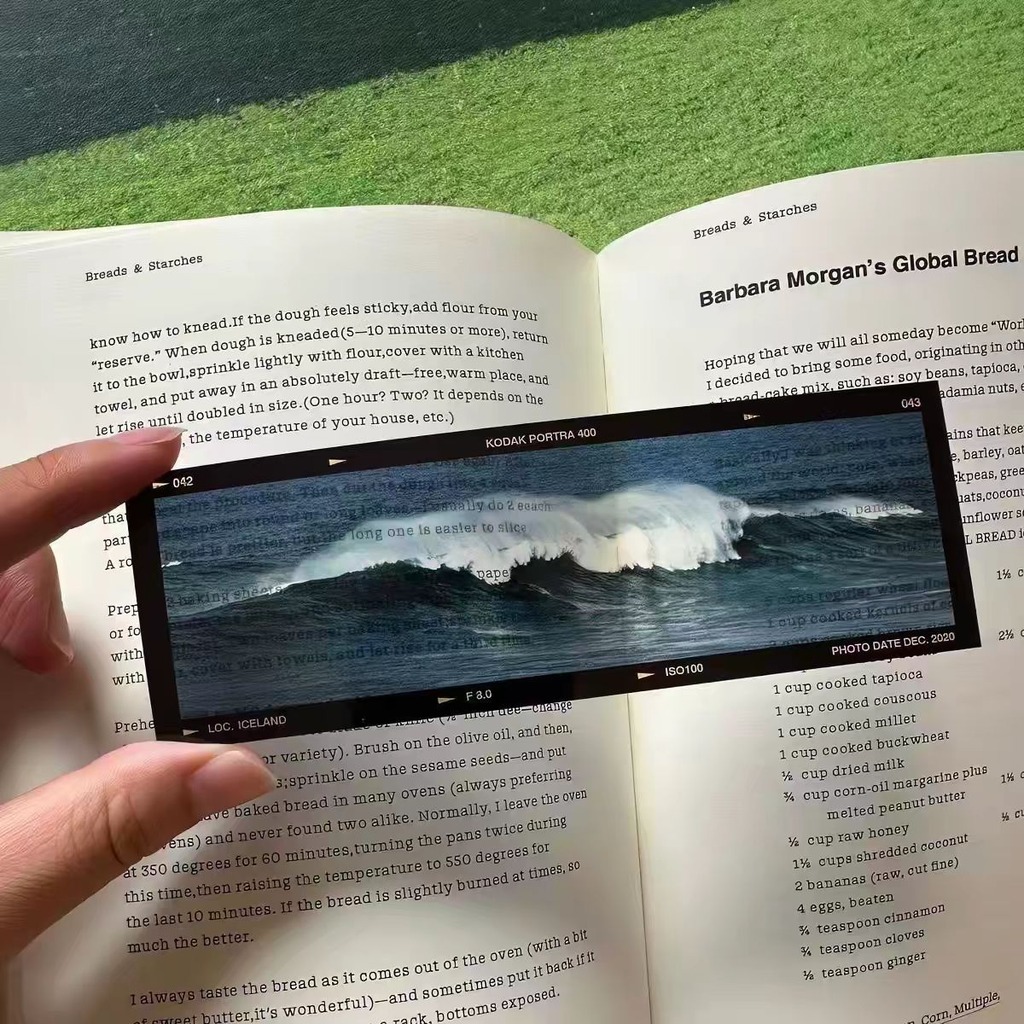 Акриловая закладка в стиле кин – обзор и цена Dried Flower Bookmark