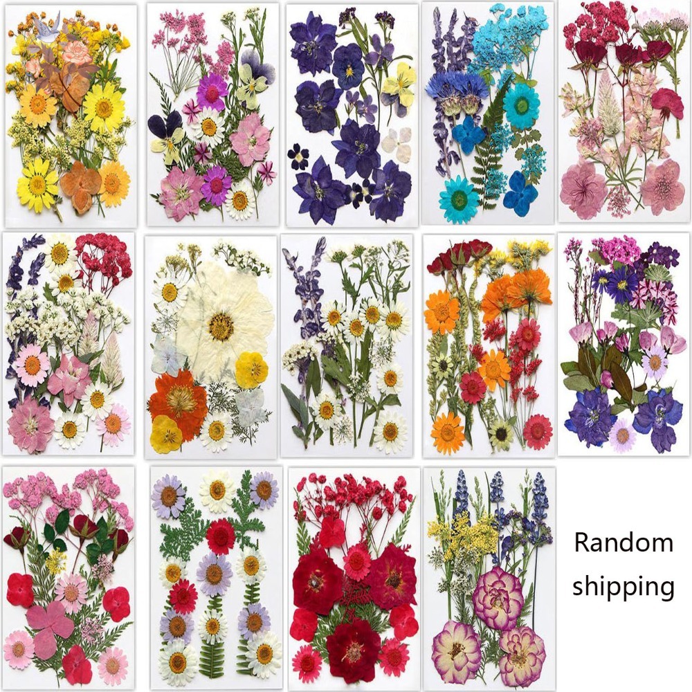 Прессованные сушеные цветы руч – обзор и цена Dried Flower Bookmark
