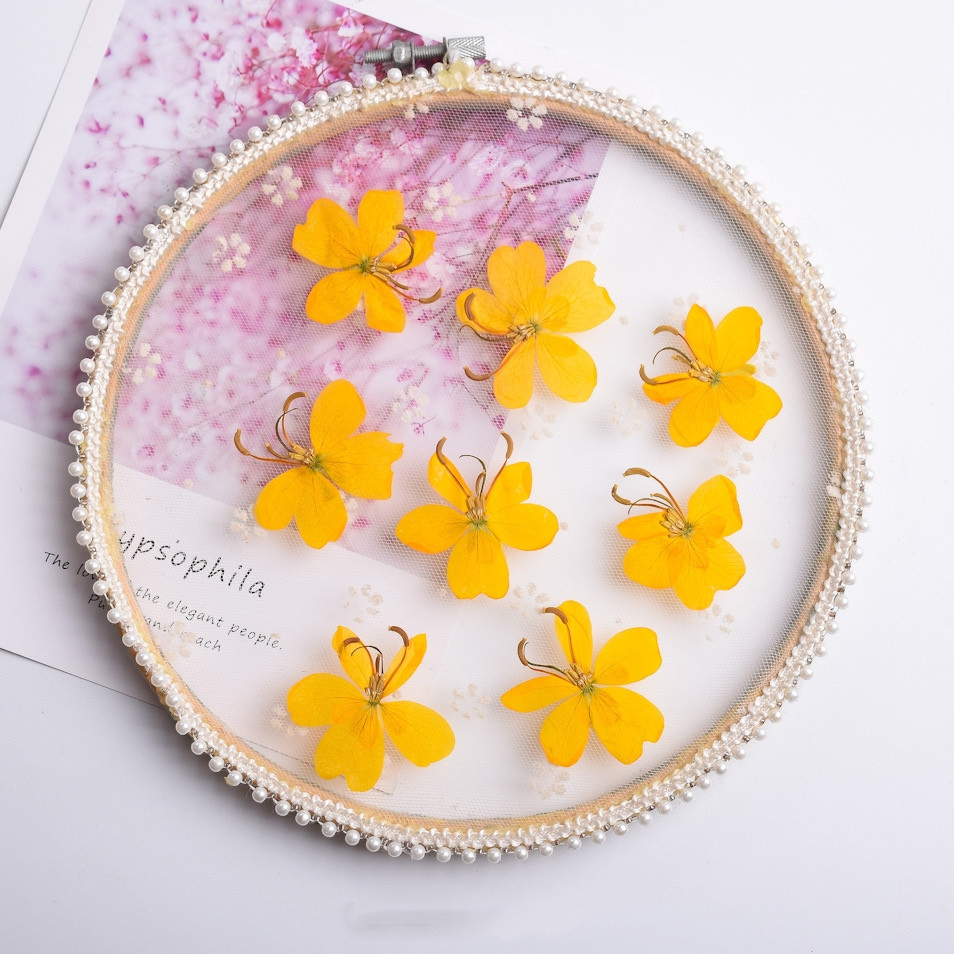 Желтая бабочка, цветок, искусс – обзор и цена Dried Flower Bookmark