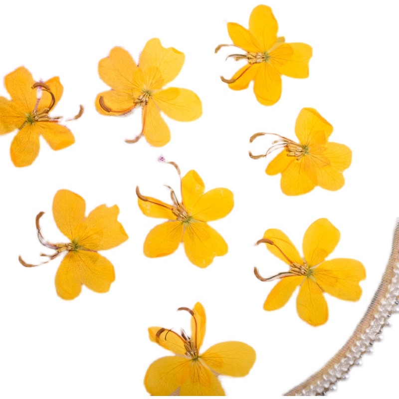 Желтая бабочка, цветок, искусс – обзор и цена Dried Flower Bookmark